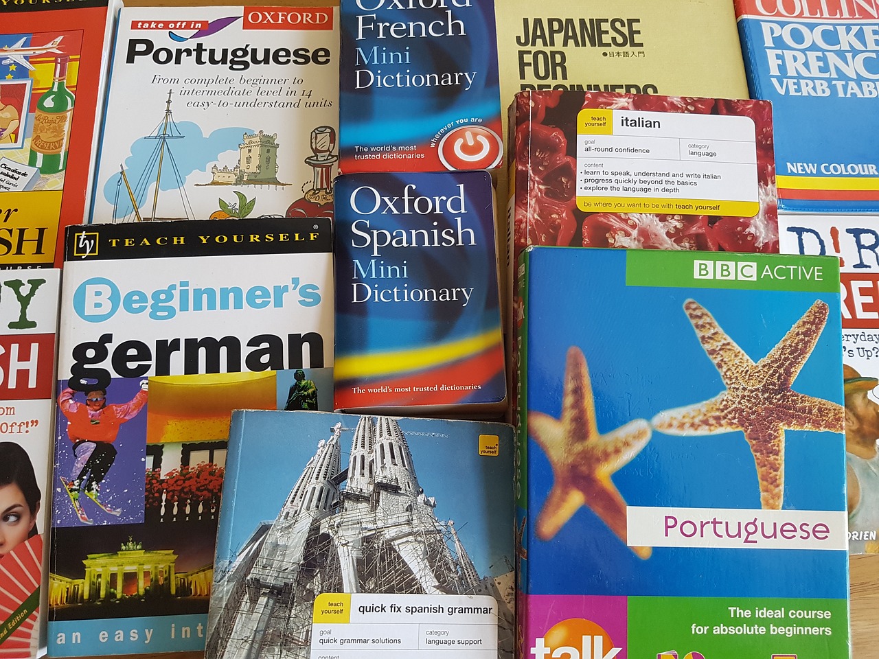 最新调考卷，探索知识的新领域之旅