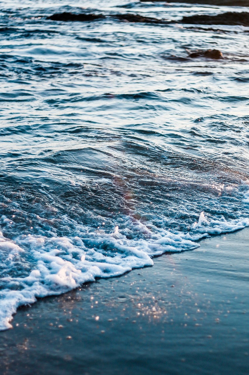 探索海洋美食新篇章，最新捕海虾技术及其实践