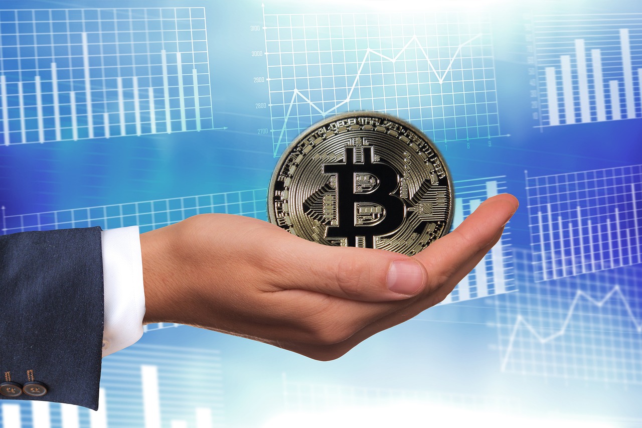 最新兔子价钱及其影响因素分析