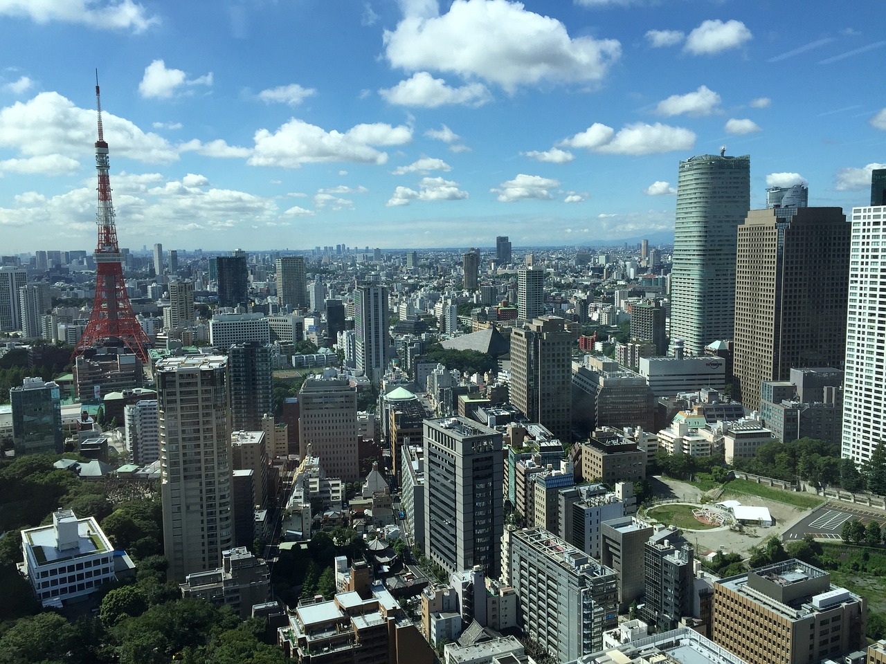 美国最新局势深度分析